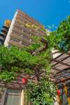 Отель MPM Hotel Orel - Ultra All Inclusive Солнечный Берег-5